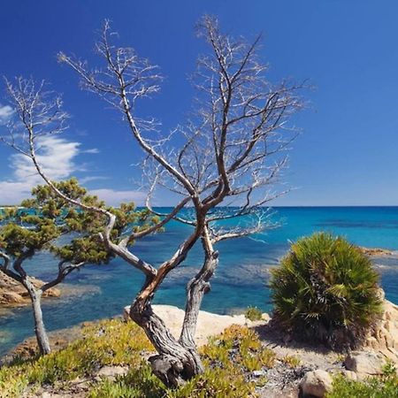Villa Vera Trifamigliare Con Ingresso Diretto 20 Mt Al Mare Clima Wi-Fi Bbq Cala Liberotto Kültér fotó