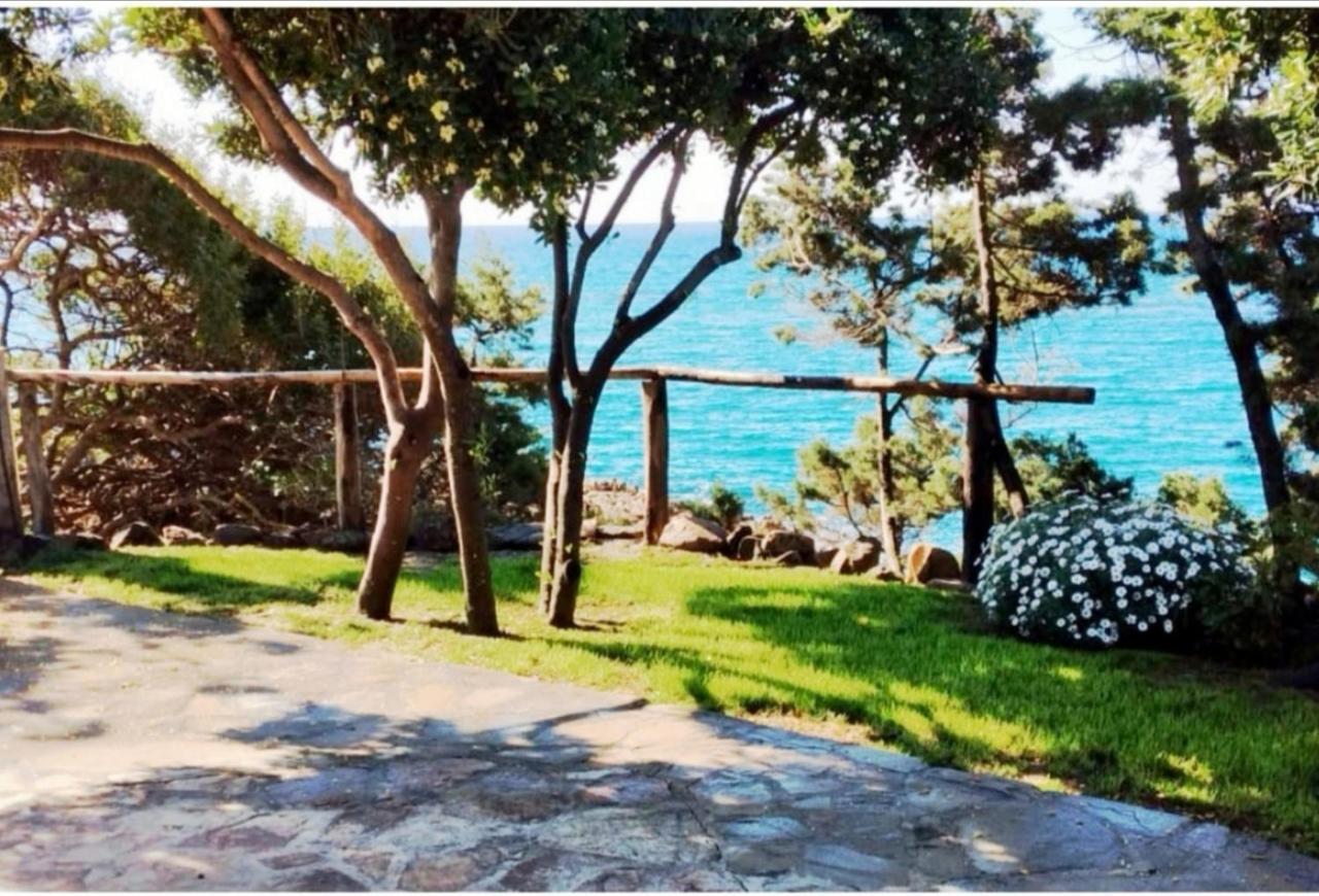 Villa Vera Trifamigliare Con Ingresso Diretto 20 Mt Al Mare Clima Wi-Fi Bbq Cala Liberotto Kültér fotó