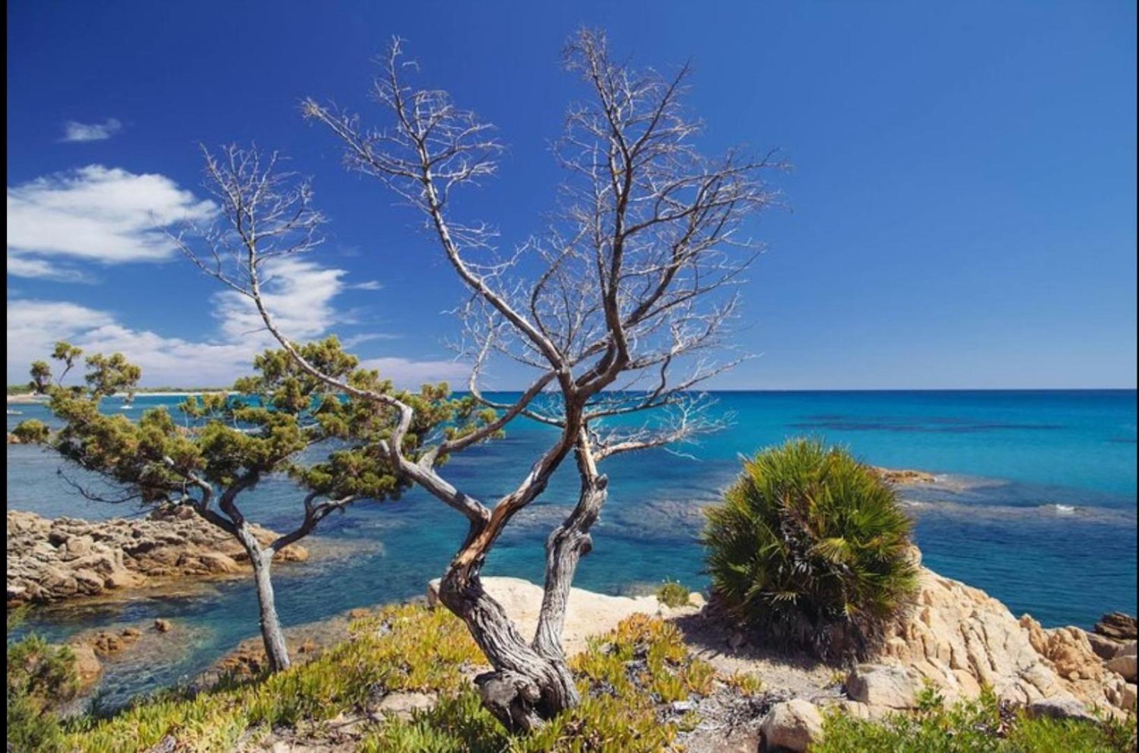 Villa Vera Trifamigliare Con Ingresso Diretto 20 Mt Al Mare Clima Wi-Fi Bbq Cala Liberotto Kültér fotó